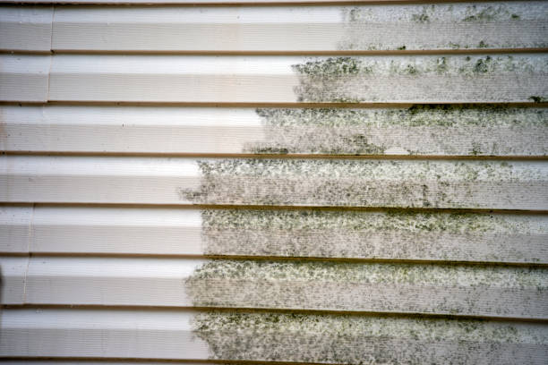 Best Recycling Services for Junk  in Winters, CA